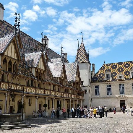 Apartament Cosy Chouette Dijon Zewnętrze zdjęcie