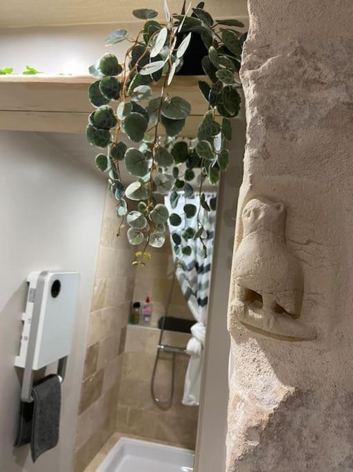 Apartament Cosy Chouette Dijon Zewnętrze zdjęcie
